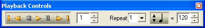 image\Playback_Controls.gif